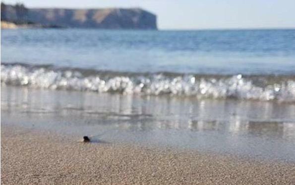 Acogedor Y Precioso Atico En Javea Primera Linea Playa Zewnętrze zdjęcie